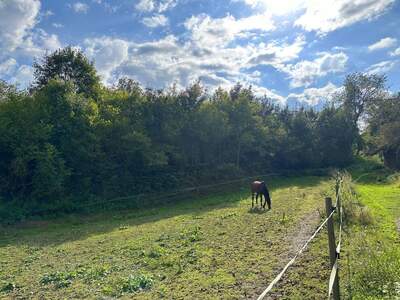 Grundstück kaufen in 9061 Tultschnig (Bild 2)