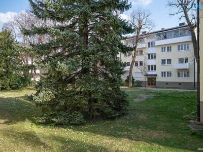 Wohnung kaufen in 2500 Baden