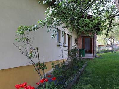 Einfamilienhaus kaufen in 4722 Peuerbach (Bild 4)