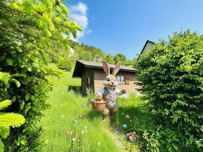 Grundstück kaufen in 8680 Mürzzuschlag