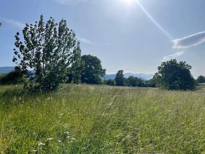 Grundstück kaufen in 9181 Feistritz