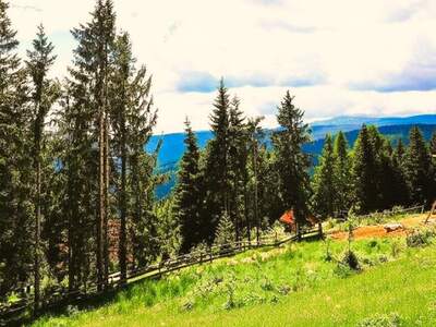 Grundstück kaufen in 8742 Obdach