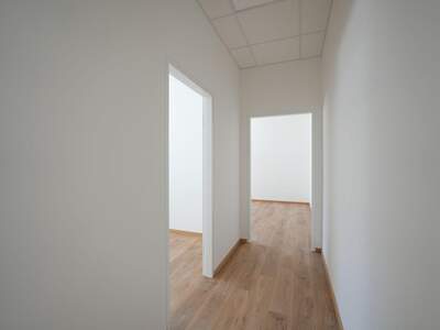 Gewerbeobjekt mieten in 4600 Wels (Bild 3)