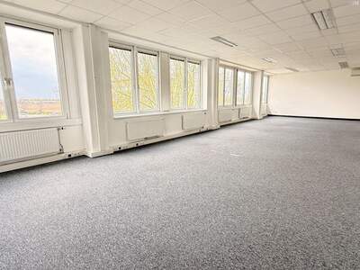 Gewerbeobjekt mieten in 2320 Schwechat (Bild 2)