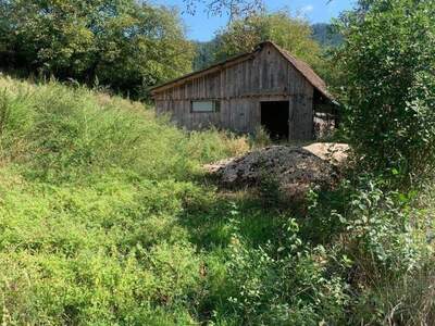 Gewerbeobjekt kaufen in 9300 St. Veit