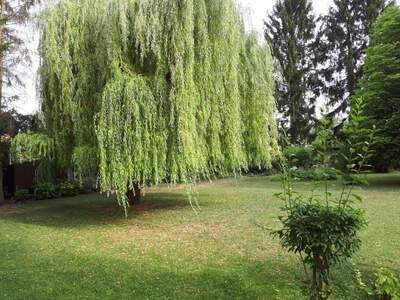 Mietwohnung provisionsfrei in 2000 Stockerau