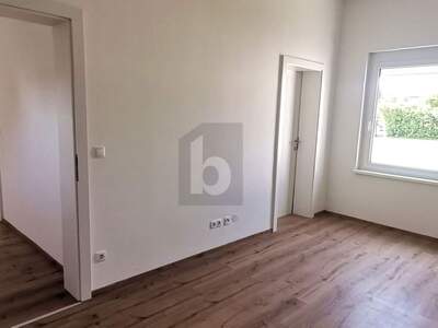 Einfamilienhaus kaufen in 2601 Sollenau (Bild 4)