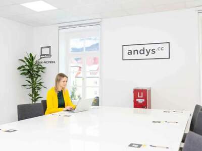 Gewerbeobjekt mieten in 4820 Bad Ischl (Bild 5)