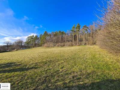 Grundstück kaufen in 2393 Sparbach (Bild 4)