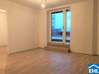 Terrassenwohnung mieten in 1090 Wien (Bild 1)