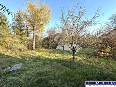 Grundstück kaufen in 4611 Buchkirchen (Bild 1)