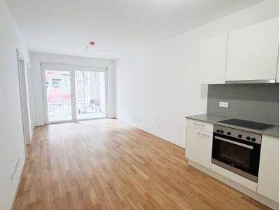 Terrassenwohnung mieten in 8010 Graz (Bild 2)