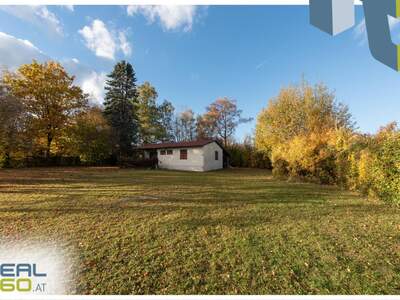 Grundstück kaufen in 4203 Altenberg (Bild 3)