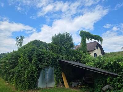 Haus mit Garten kaufen in 8442 Kitzeck (Bild 5)