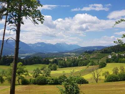 Grundstück kaufen in 9161 Maria Rain (Bild 3)