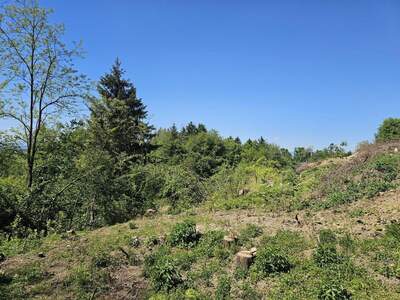 Grundstück kaufen in 8072 Fernitz (Bild 4)