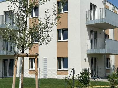 Terrassenwohnung mieten in 2700 Wr. Neustadt (Bild 1)