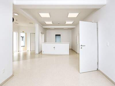 Gewerbeobjekt mieten in 9125 Kühnsdorf (Bild 4)