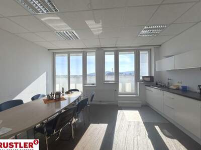 Gewerbeobjekt mieten in 2340 Mödling (Bild 5)