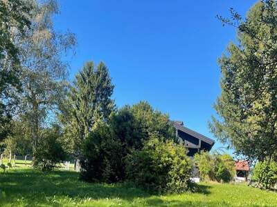 Haus kaufen in 5112 Lamprechtshausen (Bild 5)