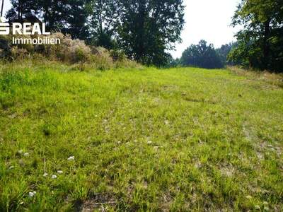 Grundstück kaufen in 3962 Heinrichs (Bild 5)