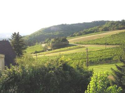 House provisionsfrei mieten in 2103 Niederösterreich