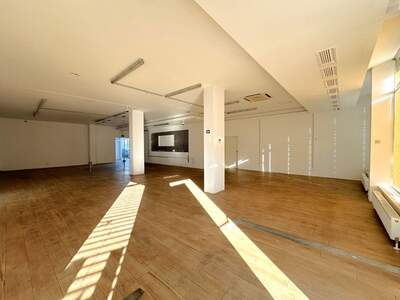 Gewerbeobjekt mieten in 8020 Graz (Bild 4)