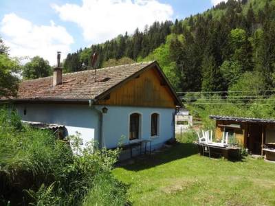 Haus kaufen in 2881 Trattenbach