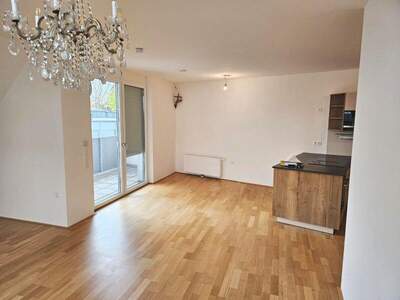 Terrassenwohnung mieten in 2700 Wr. Neustadt (Bild 3)