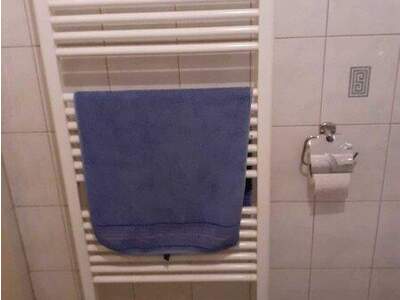 Terrassenwohnung kaufen in 3160 Traisen (Bild 5)