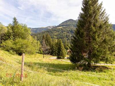 Grundstück kaufen in 6850 Dornbirn