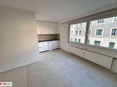 Gewerbeobjekt mieten in 1150 Wien (Bild 2)