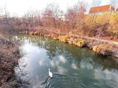 Wohnung kaufen in 1210 Wien