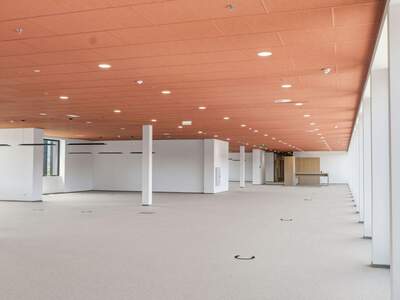 Gewerbeobjekt mieten in 6922 Wolfurt (Bild 3)