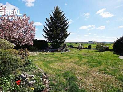 Haus kaufen in 7321 Lackendorf (Bild 4)