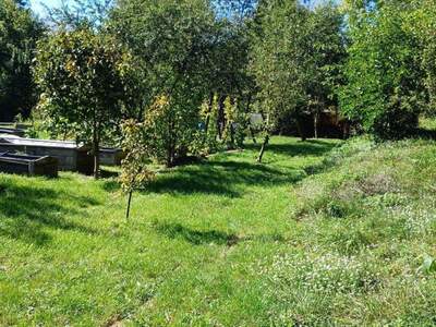 Grundstück kaufen in 2733 Grünbach