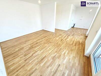 Terrassenwohnung kaufen in 1220 Wien (Bild 2)