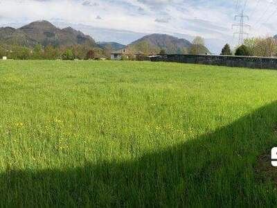 Grundstück kaufen in 4591 Molln (Bild 1)