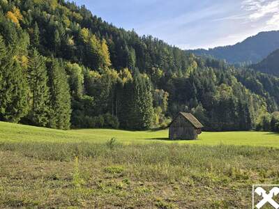 Grundstück kaufen in 9135 Ebriach (Bild 2)