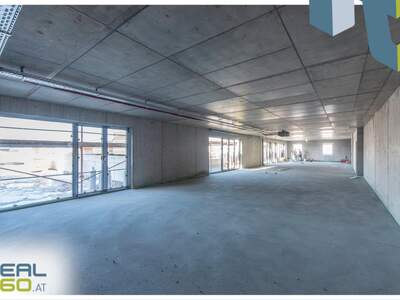 Büro / Praxis mieten in 4150 Rohrbach (Bild 5)