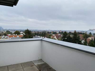 Gewerbeobjekt mieten in 1230 Wien (Bild 4)