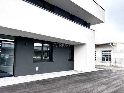 Gewerbeobjekt mieten in 2500 Baden