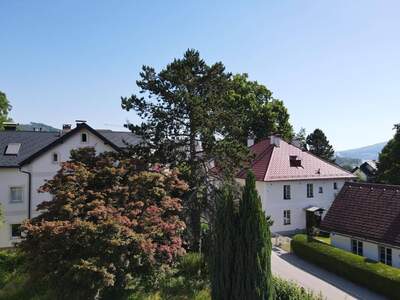 Anlageobjekt kaufen in 4813 Altmünster