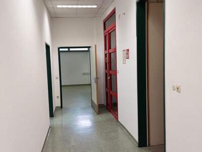 Büro / Praxis mieten in 2460 Bruck an der Leitha (Bild 4)