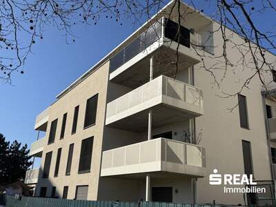 Terrassenwohnung kaufen in 4053 Haid (Bild 1)