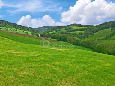 Haus kaufen in 2534 Alland