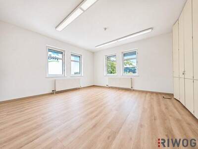 Büro / Praxis mieten in 2351 Wr. Neudorf (Bild 4)