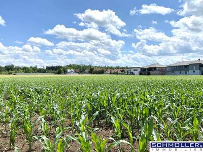 Gewerbeobjekt kaufen in 4623 Gunskirchen (Bild 3)