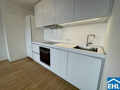 Terrassenwohnung mieten in 1160 Wien (Bild 3)