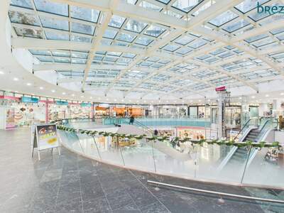 Gewerbeobjekt mieten in 1110 Wien (Bild 2)